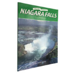 Niagara Falls - Larry Fisher