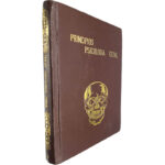 Princípios Psicologia Geral (Volume IV) - S. L. Rubinstein