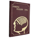 Princípios de psicologia geral (Volume V) - S. L. Rubinstein
