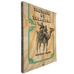 Tartarin de Tarascon - Alphonse Daudet