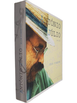 António Júlio (1951-2015) - Elsa Pinheiro