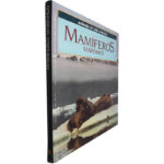 Mamíferos marinhos (Animais de todo o mundo)