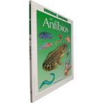 Os anfíbios - Andreu Llamas