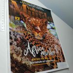 13BB27 - Livro não catalogado - 27
