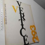 Vértice 293 -