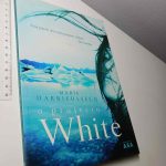 O projecto Whitte - Marie Darrieussecq