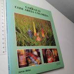 Garrafas com areia colorida