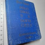 Pelo sinal da Santa Cruz - Silvia Tavares