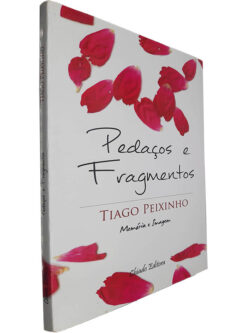 Pedaços e fragmentos (Memória e imagem) - Tiago Peixinho