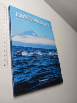 Dolphins and Whales from the Azores - Serge Viallelle