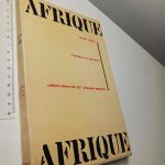 L'Afrique en question - Demba Diallo