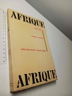 L'Afrique en question - Demba Diallo