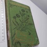 Juramento da duqueza - P. Chagas
