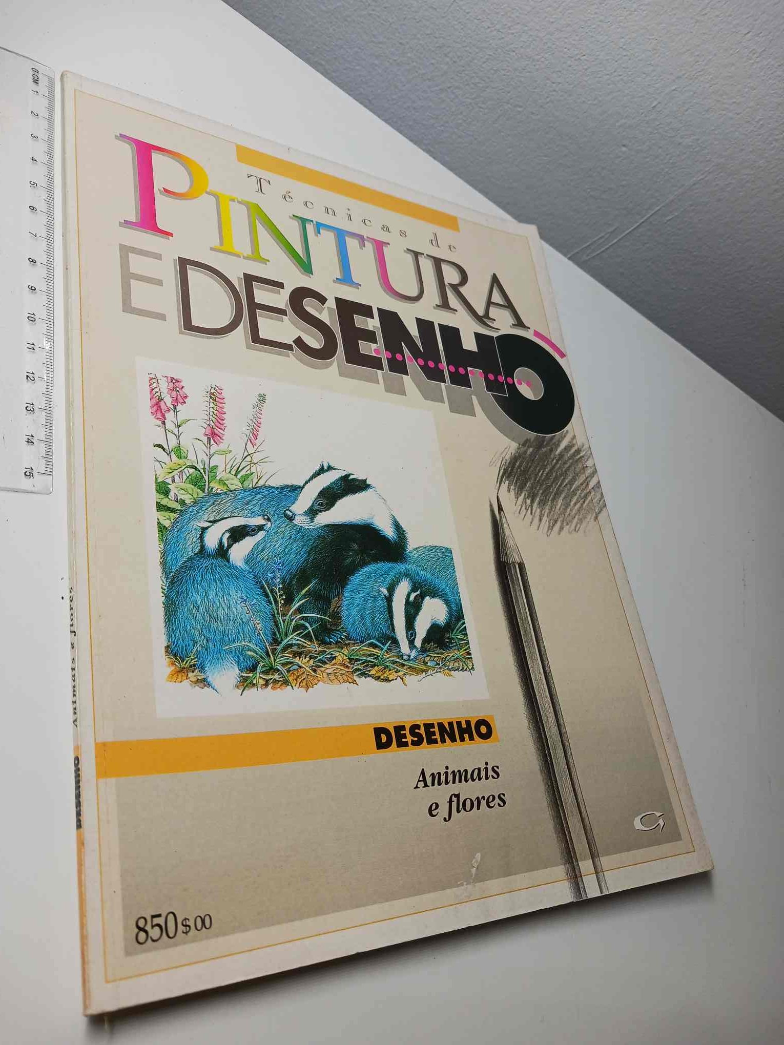 B50 - (2) Técnicas de pintura e desenho (Desenho - Animais e flores) - Image 1