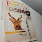 Técnicas de pintura e desenho (Desenho - Tintas e lápis de côres)