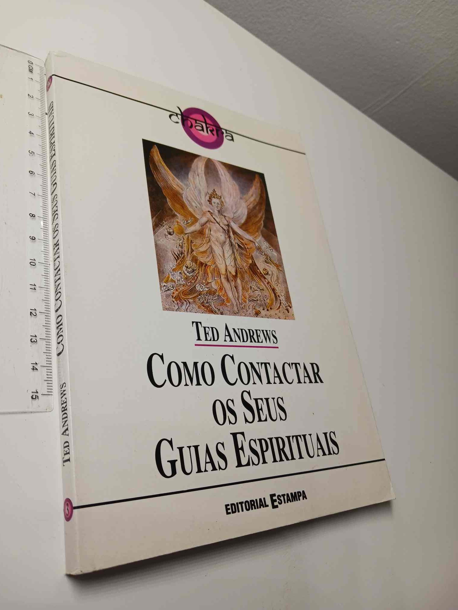 10-11DD15 - (51) 10-11DD15 - Livro não catalogado - 51 - Image 1