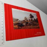 Cavalos Lusitanos - José Fontes