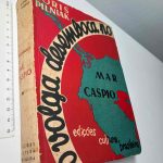 O Volga desemboca no Mar Caspio - Boris Pilniak