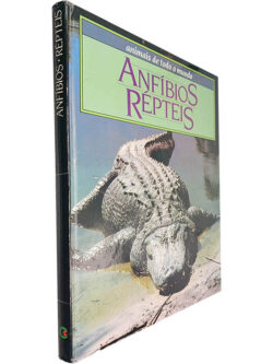 Anfíbios e Répteis (Animais de todo o Mundo)
