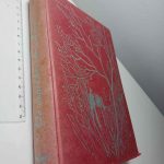 CB28 - Livro não catalogado - 9