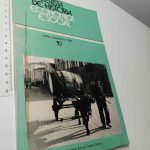 Revista de História Economia e Social (N.º 10 - Julho-Dezembro 1982)
