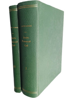 Direito processual civil (2 Volumes) - Castro Mendes