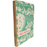 Norte contra sul (Parte II - Justiça) - Júlio Verne