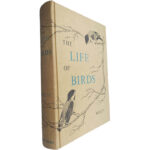 The life of birds - Joel Carl Welty