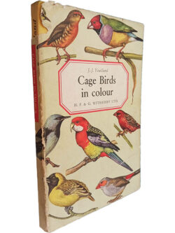 Cage birds in colour - J. J. Yealland