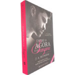 Entre o agora e o sempre - J. A. Redmerski