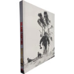Island fighting (World War II) - Rafael Steinberg