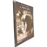 A procura - Fernando Dinis
