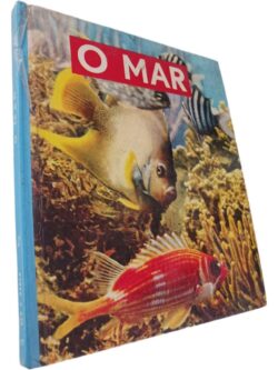 https://esconderijodoslivros.pt/wp-content/uploads/2025/08/A184-49-rotated.jpg