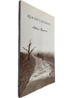 https://esconderijodoslivros.pt/wp-content/uploads/2025/10/SAL-B22-6-rotated.jpg