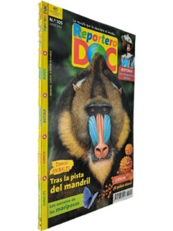 https://esconderijodoslivros.pt/wp-content/uploads/2025/12/SAL-D20-33-rotated.jpg