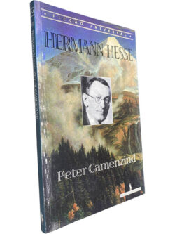 Hermann Hesse - Peter Camenzind