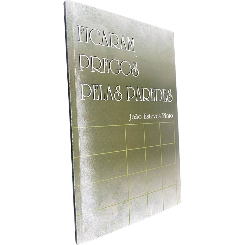 Ficaram pregos pelas paredes - João Esteves Pinto Ficaram pregos pelas paredes - João Esteves Pinto