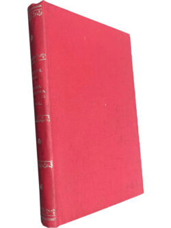 Nossa Senhora de Paris (Volume I) - Victor Hugo