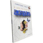 O lado positivo das crises - Christiane Singer