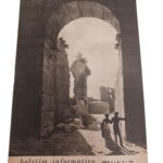 Boletim Informativo Série II nº 15 -