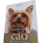 Cão o Grande Amigo - Anatomia Canina -