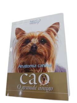Cão o Grande Amigo - Anatomia Canina -