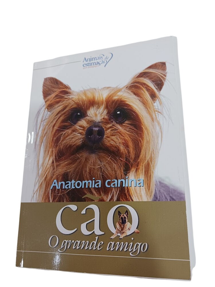 Cão o Grande Amigo - Anatomia Canina - Cão o Grande Amigo - Anatomia Canina -
