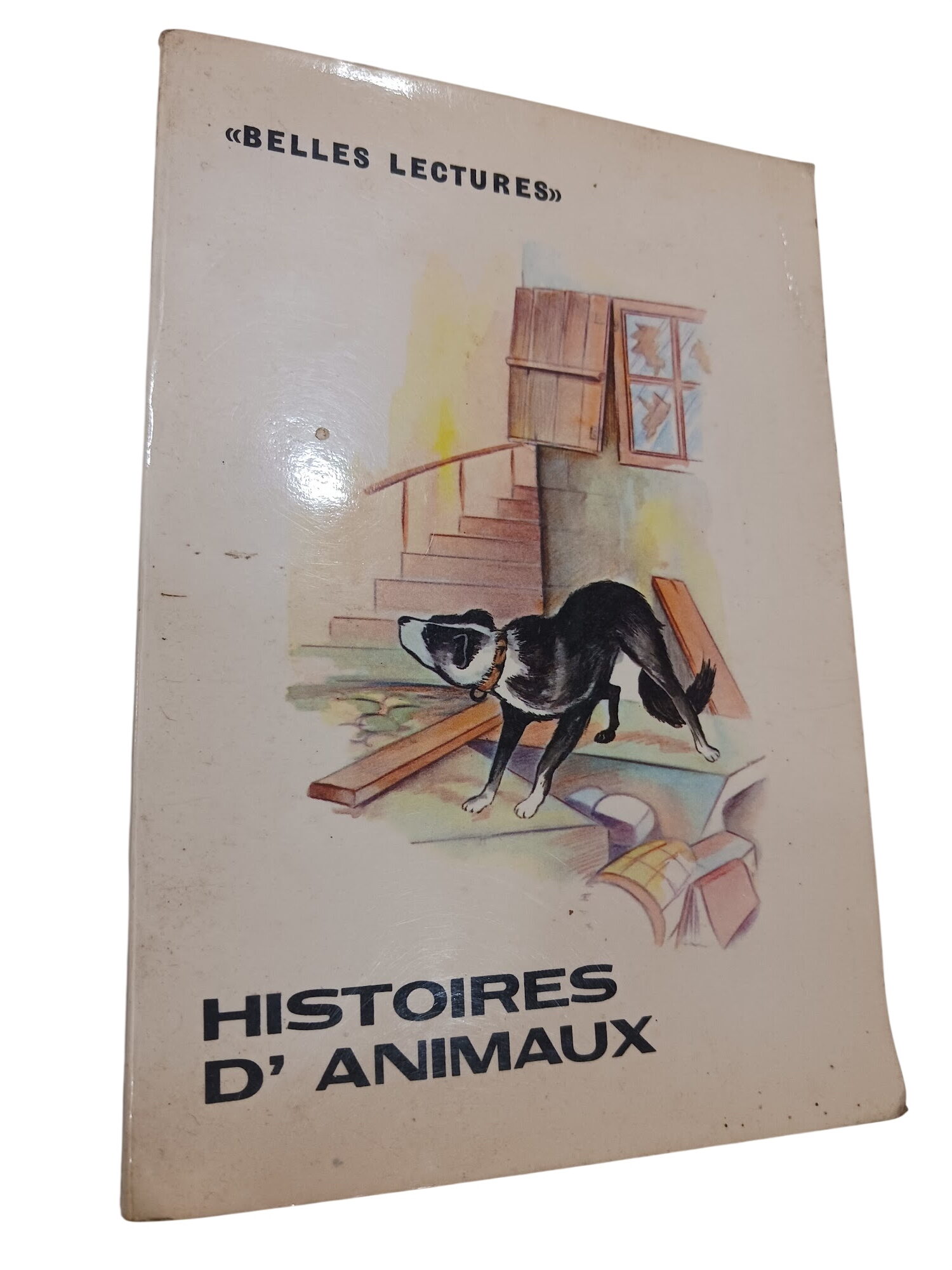 Histoires d'animaux - Histoires d'animaux -