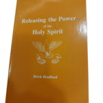 Releasing the Power of the Holy Spirit - Brick Bradford