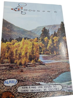 Alai -