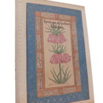 Springs of Indian Wisdom -