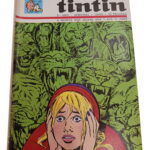 Tintin nº 40 (6.º ano) -