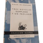 Tres novelas ejemplares y un prólogo - Miguel de Unamuno